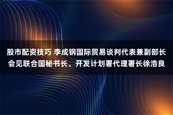 股市配资技巧 李成钢国际贸易谈判代表兼副部长会见联合国秘书长、开发计划署代理署长徐浩良